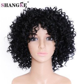 Hair Short Afro Kinky Curly Wigs For  Women Wigs Natural Hair Wigs For African American Women  Female Wig Shangke/hoodmat.com