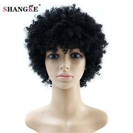Natural Afro Wig Kinky Curly Wigs For  Women Heat Resistant Synthetic Female Wig Short Hair Wigs For  Women Fake Hair Shangke/hoodmat.com