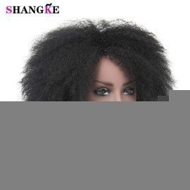 Afro Synthetic Wigs Short Afro Kinkys Curly Hair Fluffy Hair Soft Kinky Straight Wigs Heat Resistant African American Wigs Shangke/hoodmat.com