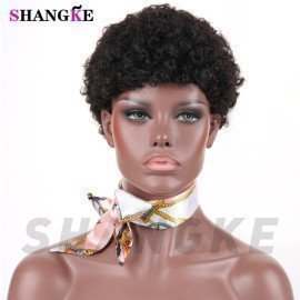 Kinky Curly Wigs For Women Heat Resistant Synthetic Female Wig Short Hair Wigs For Women Fake Hair Shangke/hoodmat.com